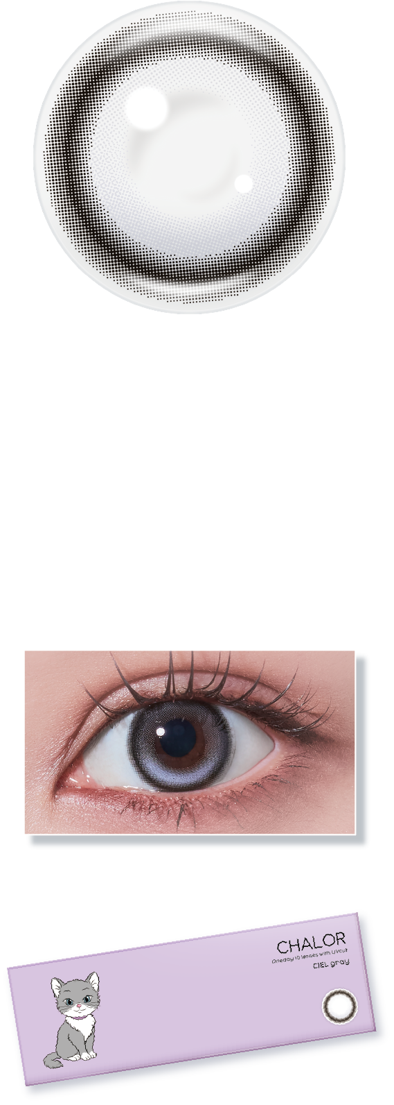 チャロル 