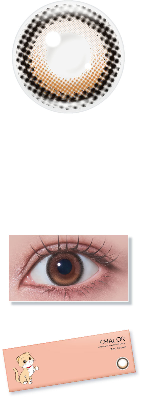 チャロル 